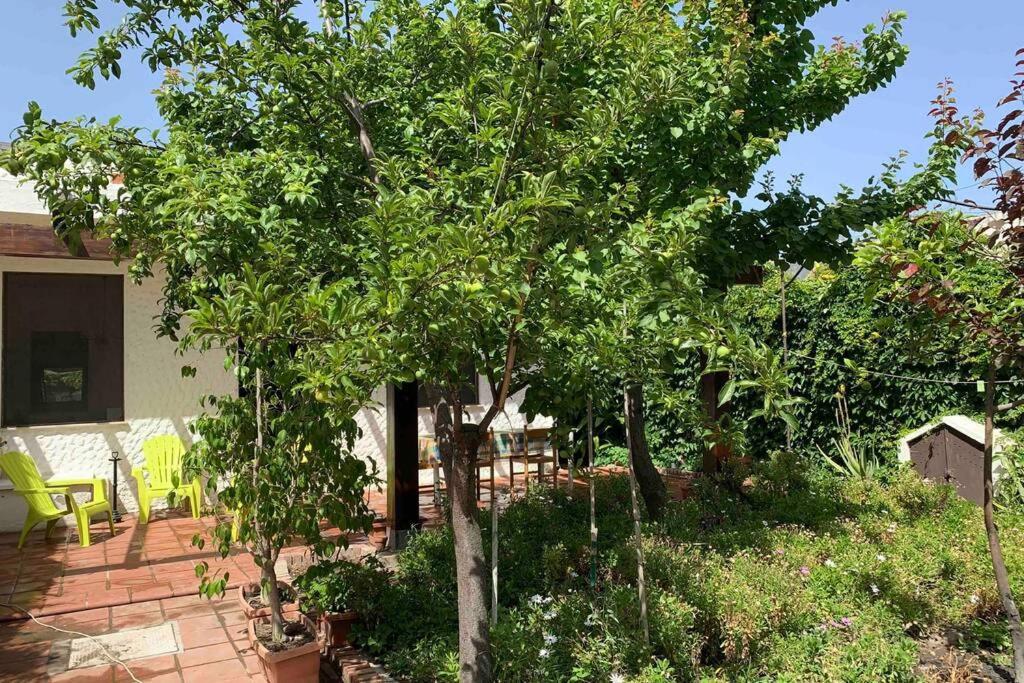Casa Tranquilla A Pochissimi Passi Dal Mare Villa Sant'Andrea  Eksteriør bilde
